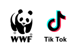 К 25-летию в России у фонда WWF появился официальный аккаунт в TikTok