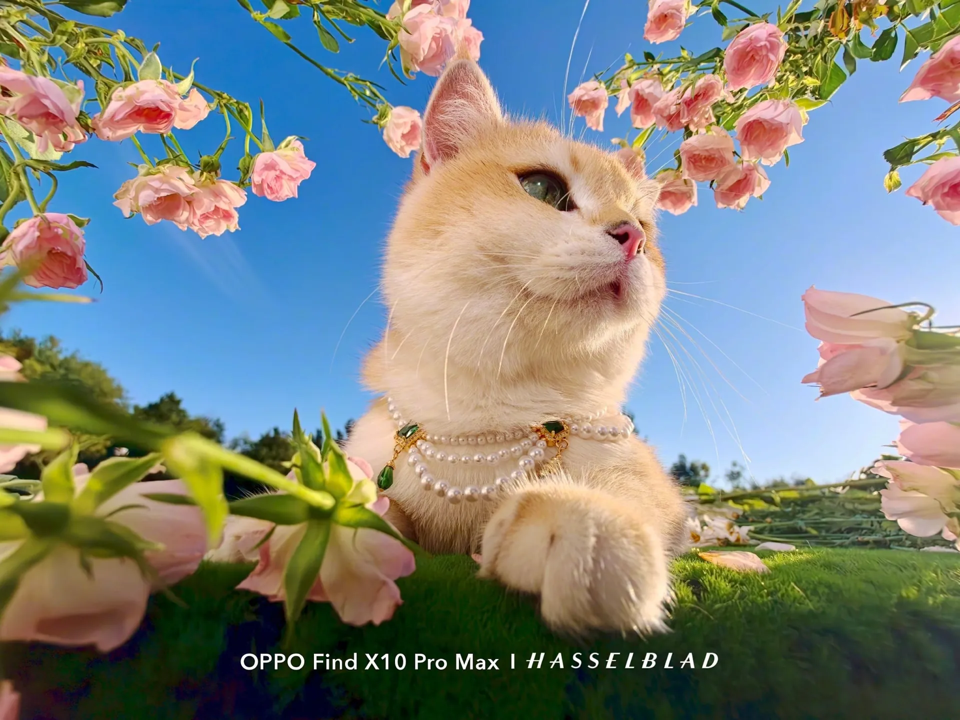 Oppo показала снимки Find X10 Pro Max с 200-мегапиксельным телеобъективом