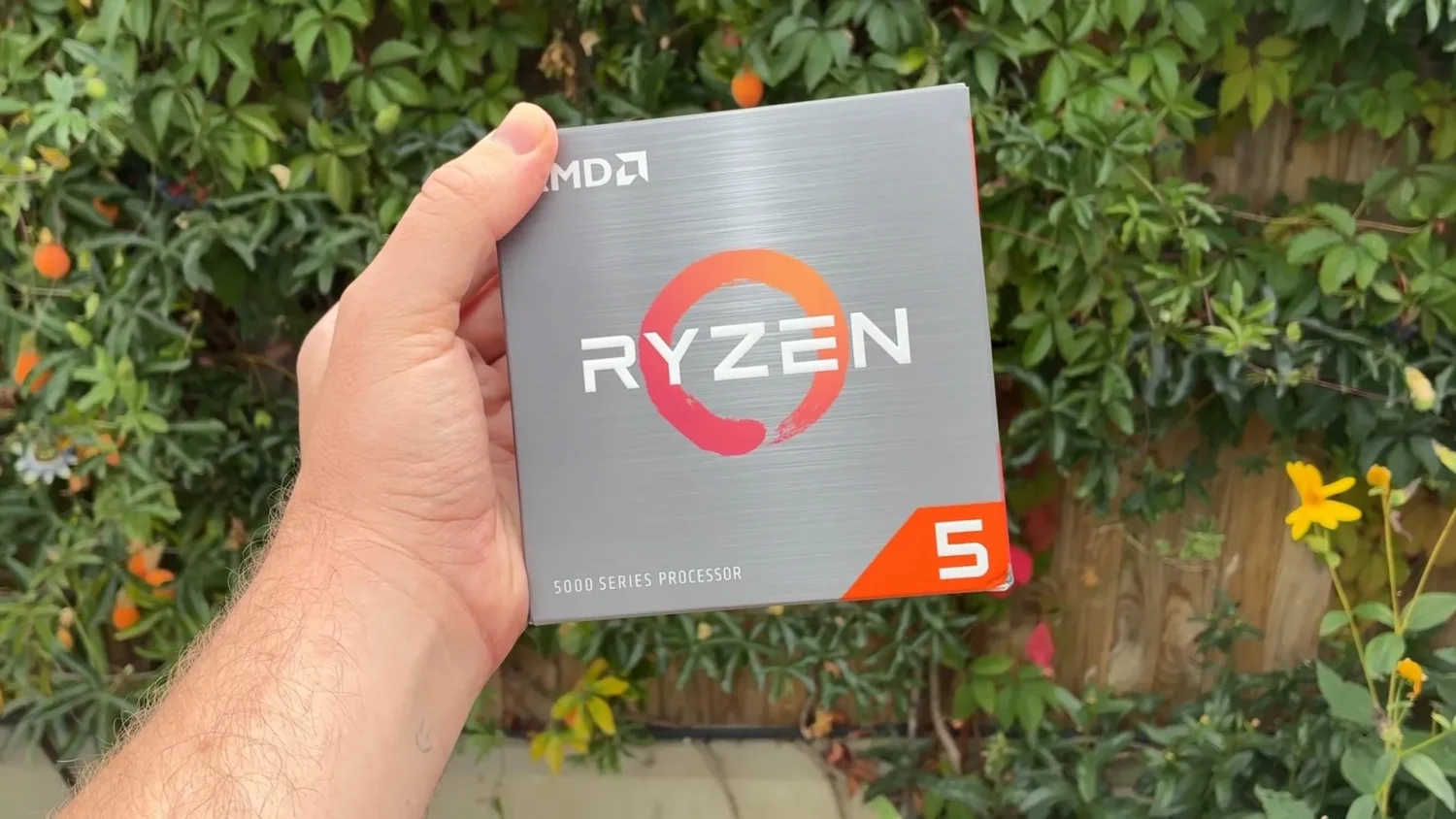 Ryzen 5 5500F обгоняет Ryzen 5 5500 в ряде игр