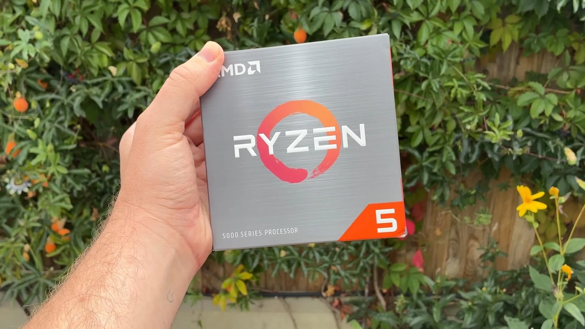 Ryzen 5 5500F обгоняет Ryzen 5 5500 в ряде игр
