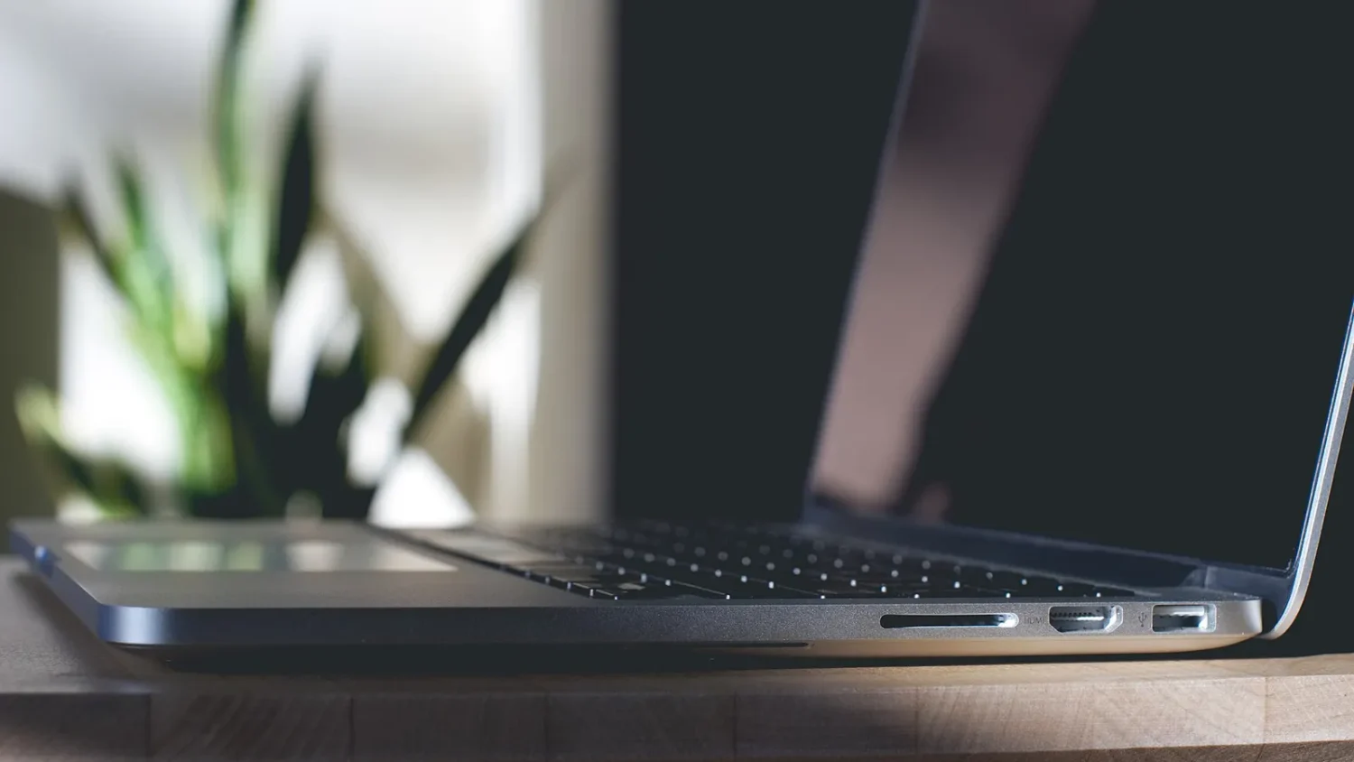 Ноутбук MacBook Pro на столе рядом с комнатным растением