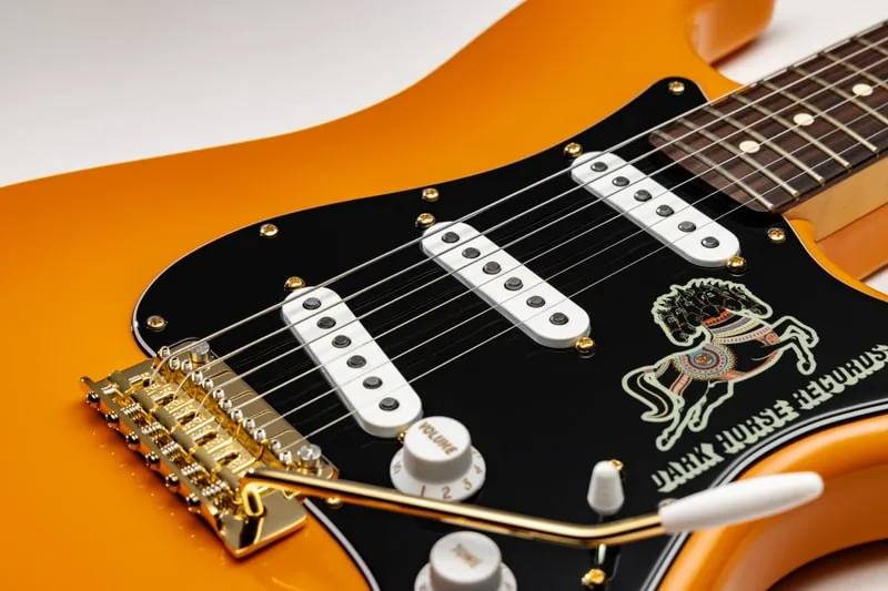 Иллюстрация к материалу «Fender и Dark Horse Records представили гитары Stratocaster». Фото: Hypebeast.
